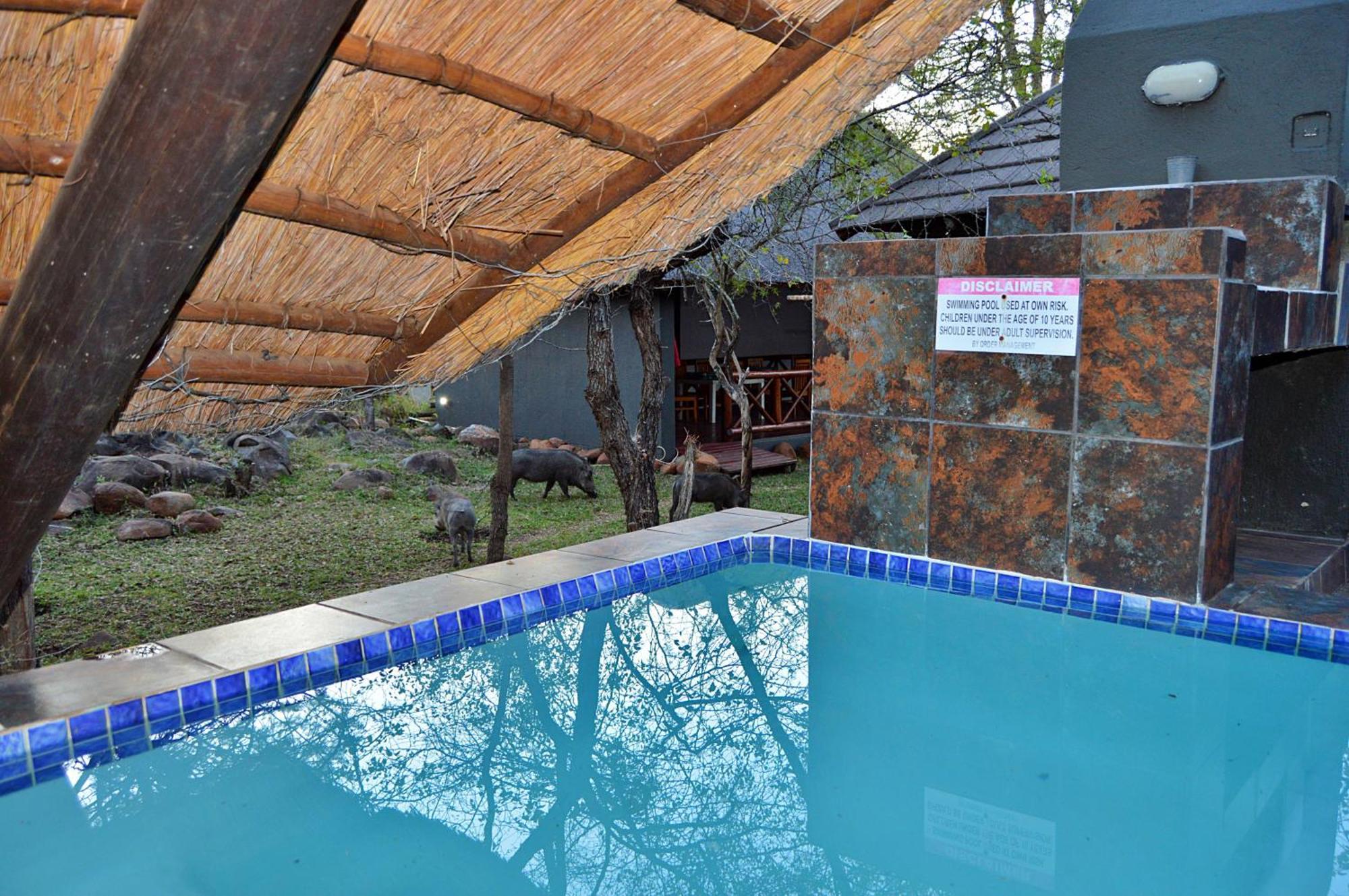 Royal Marlothi Kruger Safari Lodge And Spa Marloth Park Ngoại thất bức ảnh