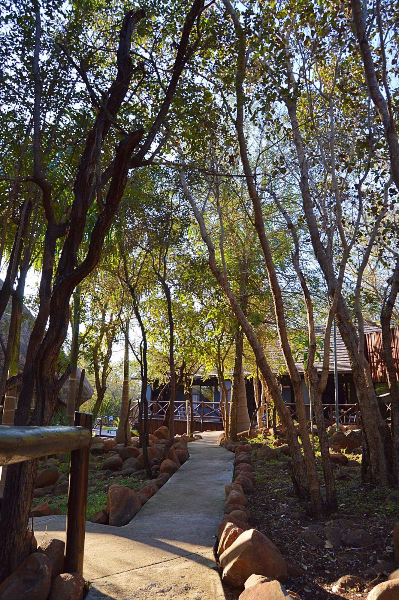 Royal Marlothi Kruger Safari Lodge And Spa Marloth Park Ngoại thất bức ảnh